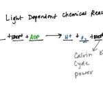 Chemical Equation Of Light Dependent Reactions