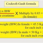 Creatinine Clearance Formula Cockcroft Gault Equation